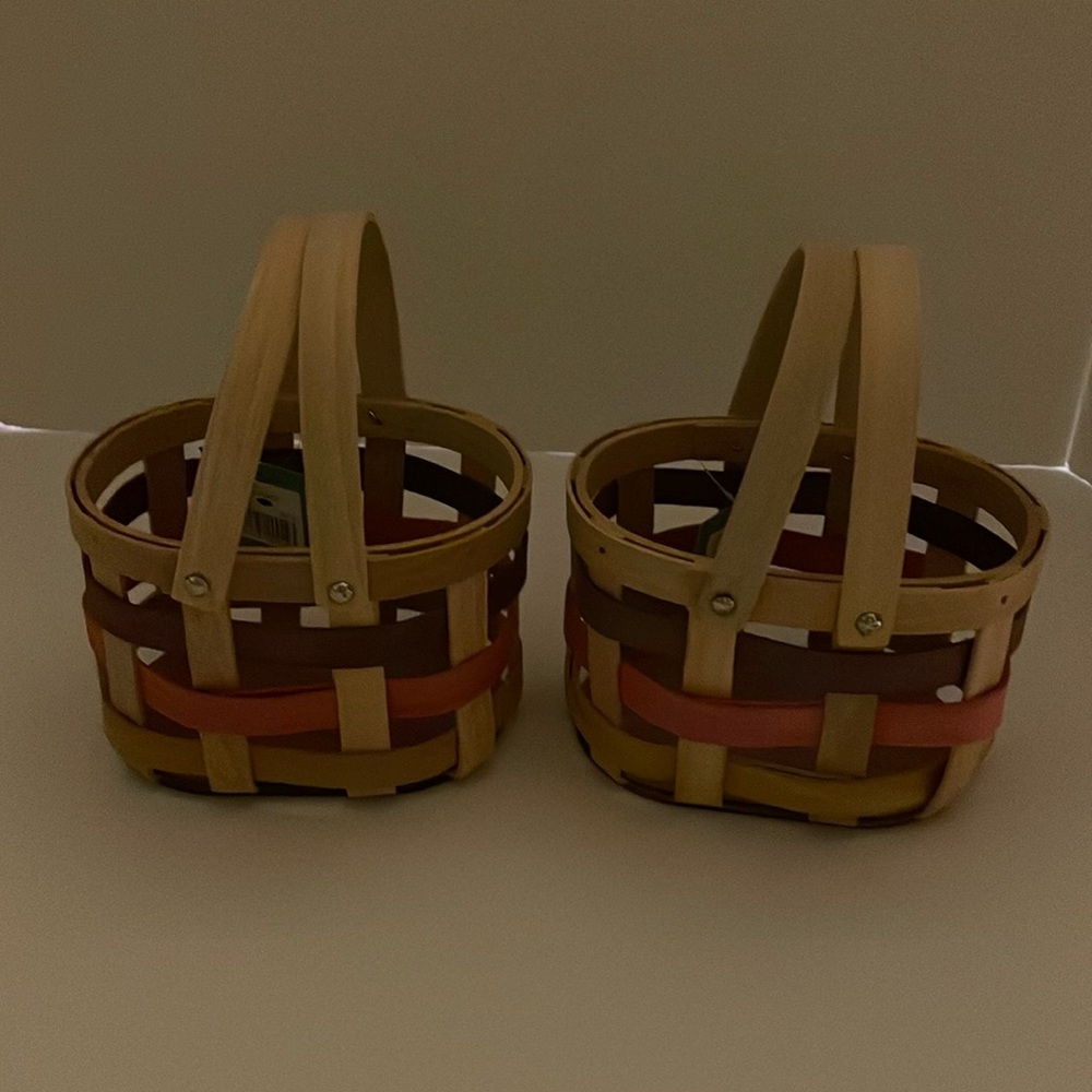Celebrate Together set of 2 spring baskets with two handles. 4” H without handle